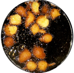 Frittura delle frittelle