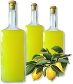 Limoncello ingredienti: