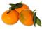 (mandarinetto) Ricetta per un buon liquore a base di mandarini di sicilia. Mandarinetto 